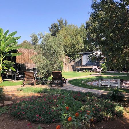 מלון Tiny House Kayakoey Kumquat מראה חיצוני תמונה