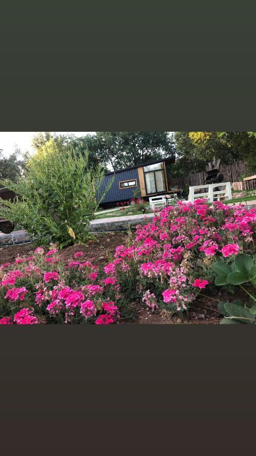 מלון Tiny House Kayakoey Kumquat מראה חיצוני תמונה